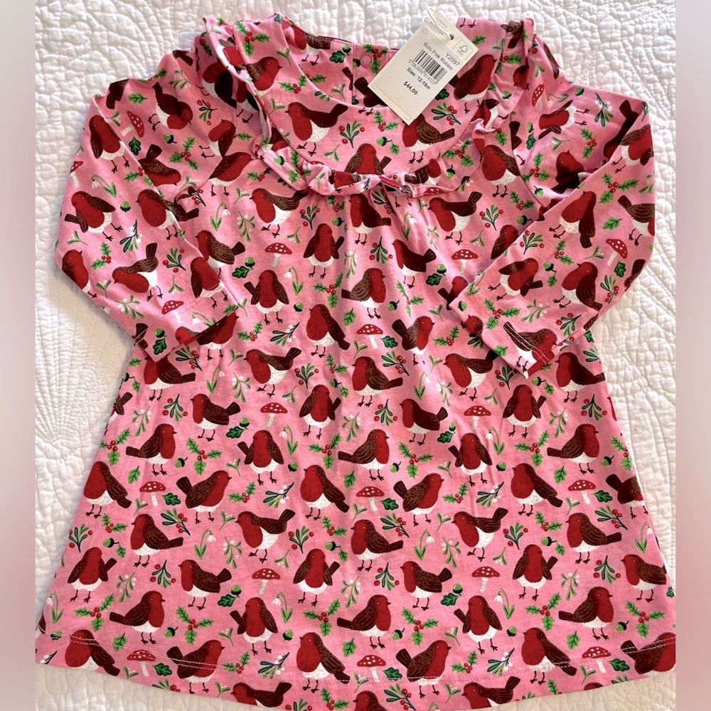 NWT - Baby Boden Boto Pink Robins Dress 12-18 Mo.